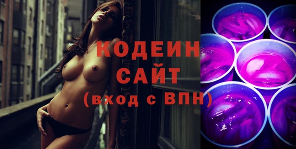 крисы Лабытнанги