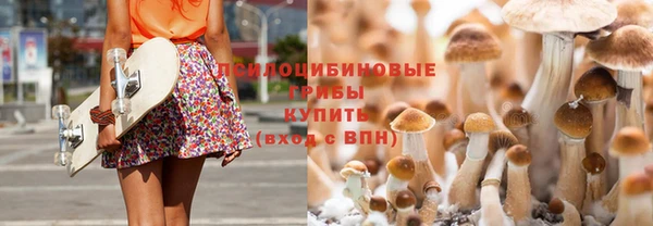 мяу мяу мука Ладушкин