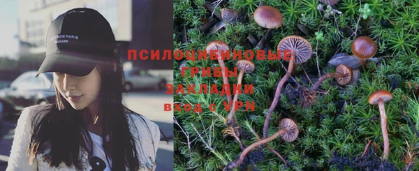 крисы Лабытнанги