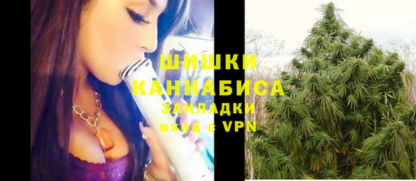 крисы Лабытнанги