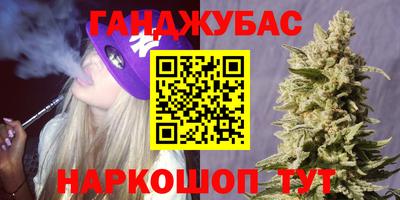 индика Кандалакша