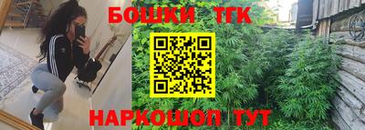 индика Кандалакша