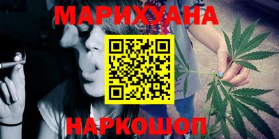 индика Кандалакша