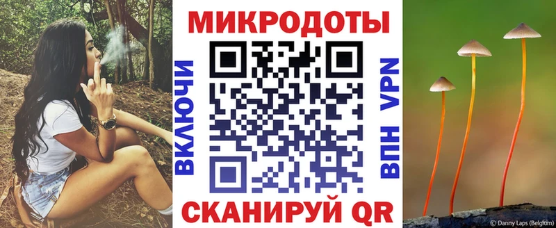 Галлюциногенные грибы Psilocybine cubensis Топки