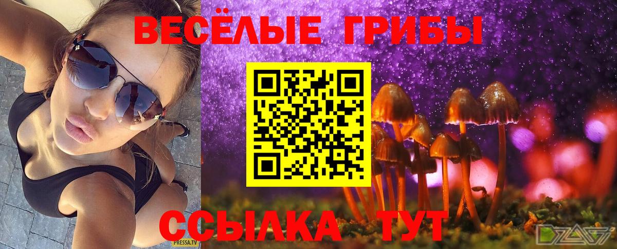 Псилоцибиновые грибы MAGIC MUSHROOMS  купить наркоту  Топки 