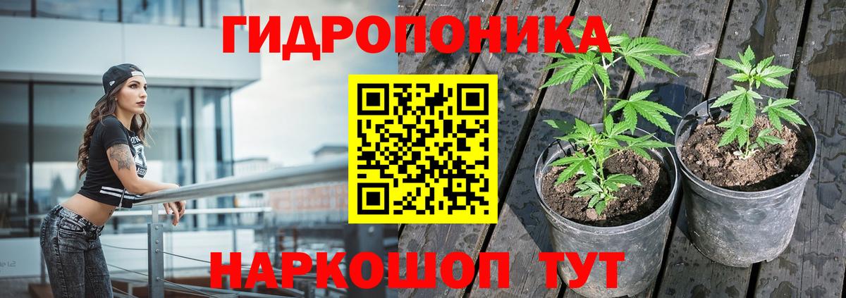 Шишки марихуана Ganja  Конопля THC 21%  Конопля планчик  Топки  Канабис гибрид 